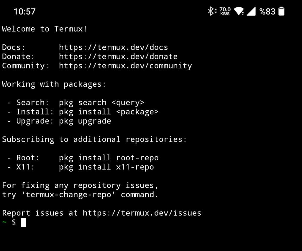 Termux launch screenshot on Android