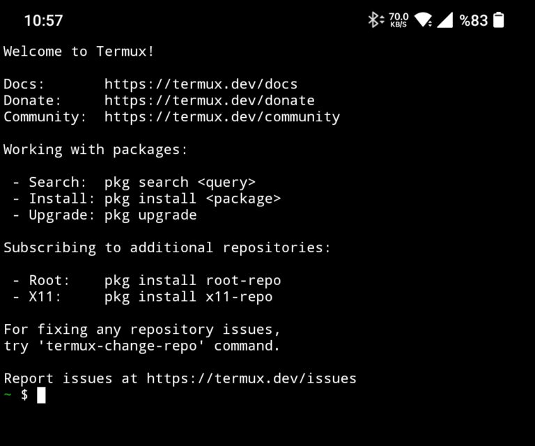 Termux launch screenshot on Android